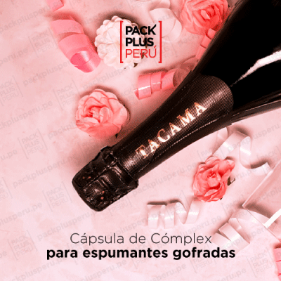 PROYECTOS CLIENTES 5